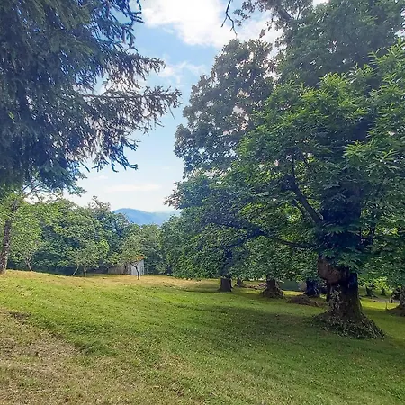 3 Bedroom Pet Friendly In Nyaraló